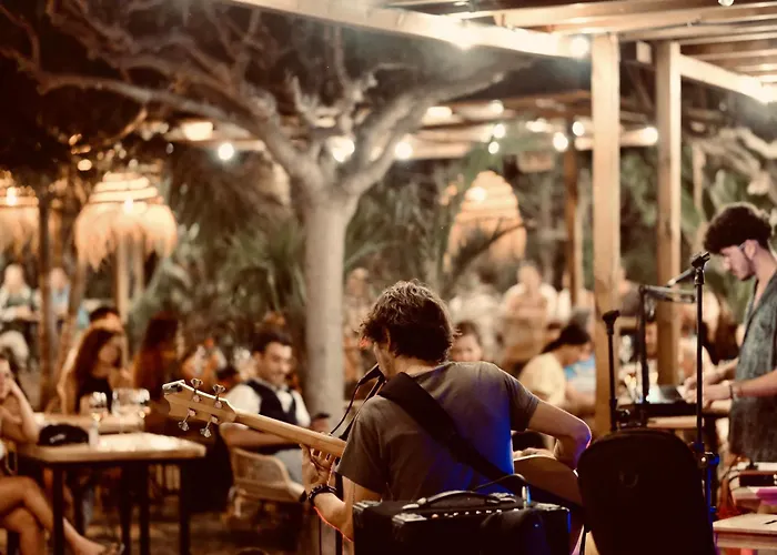 Holacamp Fun 시체스