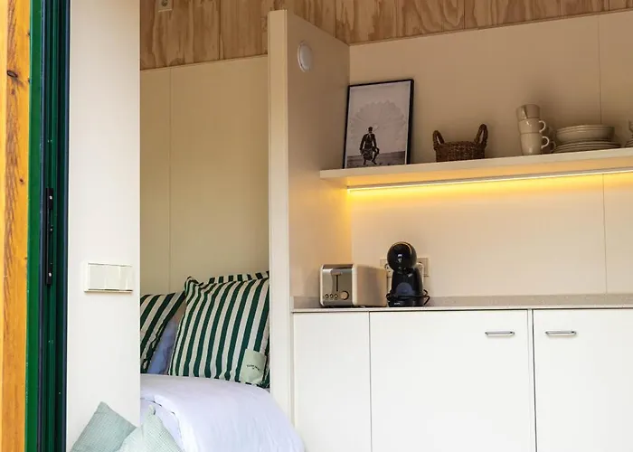 Holacamp Fun * 시체스