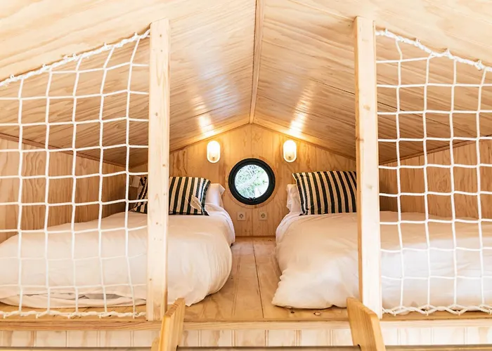 Holacamp Fun سيدجيس