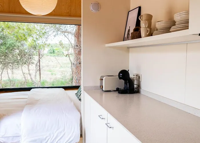 Holacamp Fun * 시체스