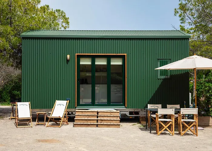 Holacamp Fun * 시체스